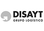 Disayt